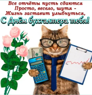 День бухгалтера в Украине 2022 - дата и традиции - Финансы bigmir)net