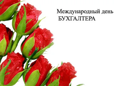 В России 21 ноября отмечается День бухгалтера - Лента новостей Херсона