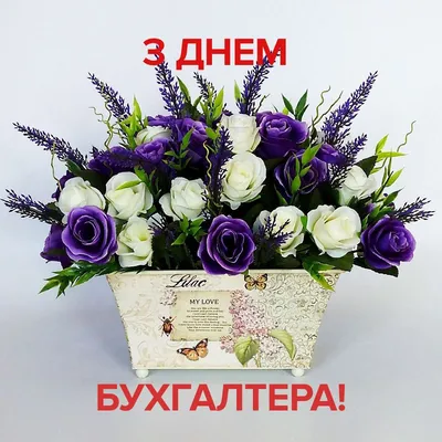 21 ноября в России отмечается профессиональный праздник - День бухгалтера -  Лента новостей Мелитополя