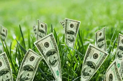 Деньги Богатые Богатство - Бесплатное фото на Pixabay - Pixabay