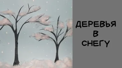Высокие вечнозеленые деревья в снегу Фон И картинка для бесплатной загрузки  - Pngtree
