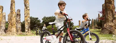 Детские велосипеды в магазине Мир Автокресел c доставкой/самовывозом!