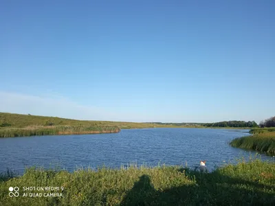 Детство в деревне. Кто помнит, как это было? | МЕЧТАЙ | Дзен