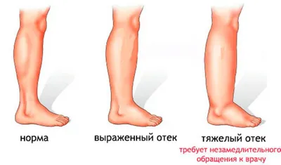 Сапоги обувь для женщин и девушек, предназначен для холодной погоды, держит  ноги в тепле купить по низким ценам в интернет-магазине Uzum (820330)