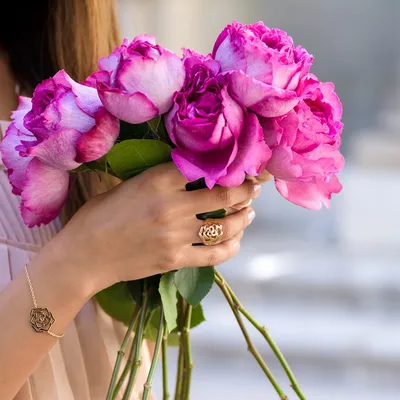 Цветы розы в руках девушки, вид сверху, маленькие красные розы на белом  фоне | Премиум Фото