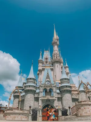 Disney World: The economics of the happiest place on earth - Vox