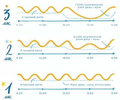 Сон ребенка в 2 месяца – сколько должен спать двухмесячный ребенок: нормы  сна днем и ночью