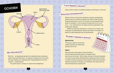 Анатомо-физиологические особенности детей