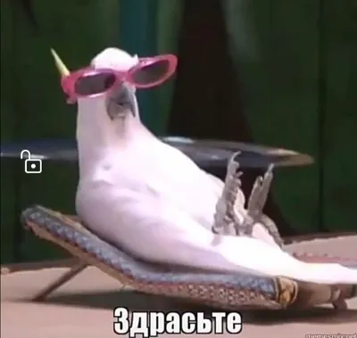 Что такое аватарка и для чего она нужна | Unisender