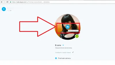 девушки на аву скайп / смешные картинки и другие приколы: комиксы, гиф  анимация, видео, лучший интеллектуальный юмор.