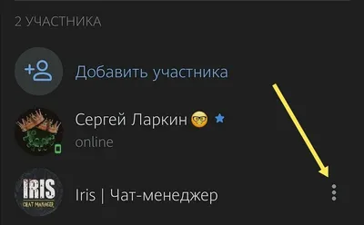 Как сделать чат бота для беседы в ВК — info-effect.ru