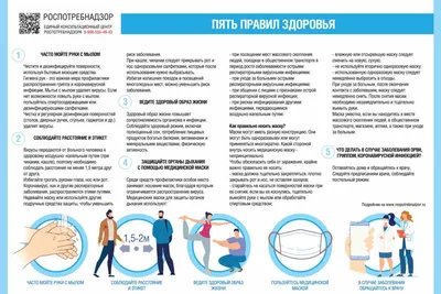 Роспотребнадзор: правила защиты от гриппа, коронавируса и ОРВИ | ФБУЗ  «Центр гигиены и эпидемиологии в Республике Татарстан (Татарстан)»