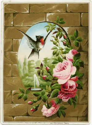 Картинки для декупажа \"Винтажные цветы\" | Искусство птицы, Иллюстрации  цветок, Старинные птицы