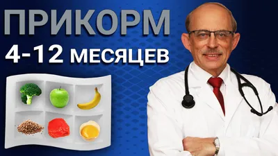 Пюре Сады Придонья кабачковое с 4 месяцев, 80г - купить с доставкой в  Тюмени в Перекрёстке