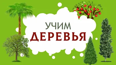 Фруктовый сад (Много фото) - treepics.ru