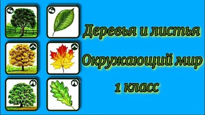 Групповое творчество «Фруктовое дерево». Лепка и рисование в средней группе  (2 фото). Воспитателям детских садов, школьным учителям и педагогам -  Маам.ру