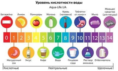 Царица – водица»