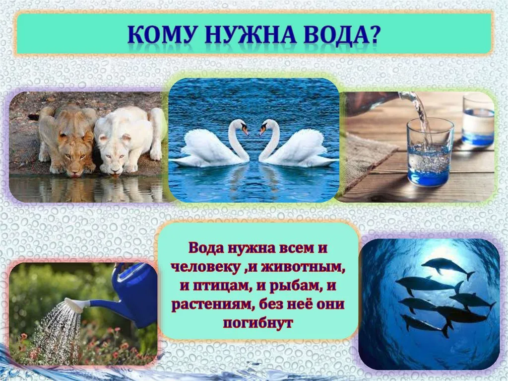 Зачем нужна вода 3 класс. Для чего нужна вода картинки для детей. Картинки кому не нужна вода. Игра кому нужна вода.