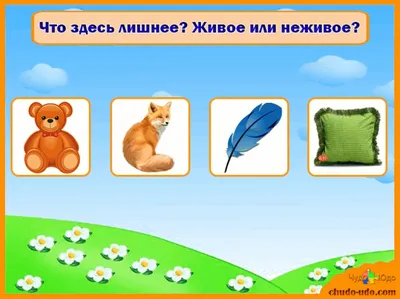 игры найди лишнее картинка детские