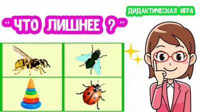 Развивающие игры \"Найди лишнее\" для детей от 4 до 6 лет