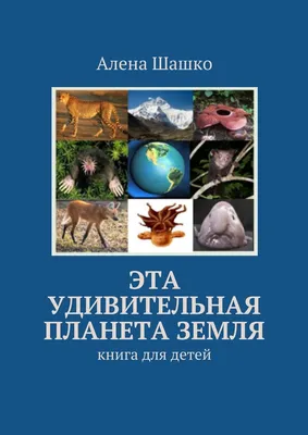 Деревянные пазлы для взрослых и детей Zufa / \"Планета Земля XL\" - 254  детали, 31x31см. - купить с доставкой по выгодным ценам в интернет-магазине  OZON (862645683)