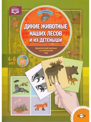 ДОМАШНИЕ ЖИВОТНЫЕ И ИХ ДЕТЕНЫШИ 🐷 Мамы и малыши/Учим названия животных/Развивающий  мультик для детей - YouTube