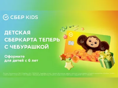 Сбер представил особенный дизайн СберКарты и новый интерфейс платёжного  счёта - AmurMedia.ru