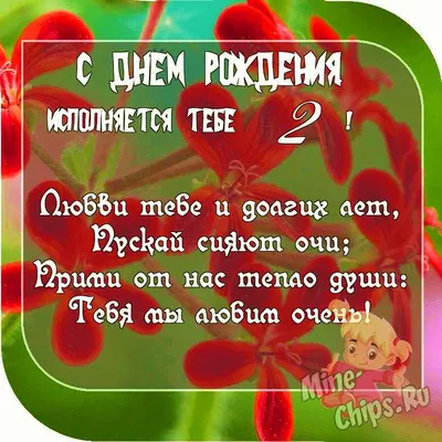 Кулон на цепочке две \"Лисички Систрички\" кулон символ любви дочки к маме  (ID#1962552547), цена: 157.70 ₴, купить на Prom.ua