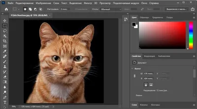 Откройте для себя семейство приложений Photoshop | Adobe Photoshop