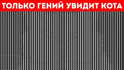 Оптическая иллюзия: только люди с орлиным зрением смогут увидеть скрытое  изображение | Психология и Факты | Дзен