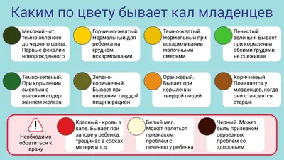 Ясли для грудничков. Какими строят новые детские сады? | Образование |  Общество | Аргументы и Факты