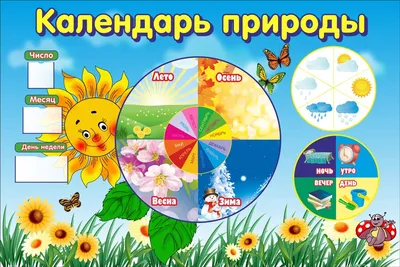 Календарь природы и погоды в детском саду (арт.ДСКП-10) купить в Хабаровске  с доставкой: выгодные цены в интернет-магазине АзбукаДекор