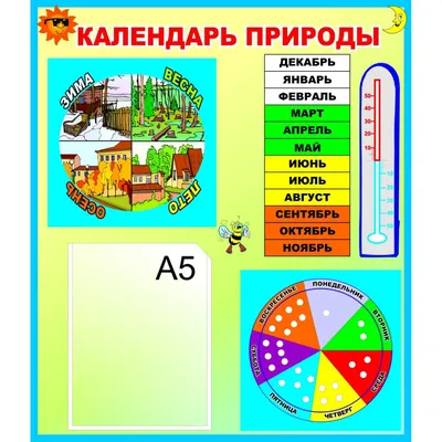 Календарь природы для средней группы купить - Topdekor.by