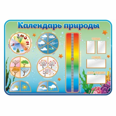 Стенд \"Календарь природы\" – купить по цене: 1 053,69 руб. в  интернет-магазине УчМаг