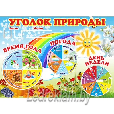 Стенд для детского сада КАЛЕНДАРЬ ПРИРОДЫ (Ежик), 0,66*0,48м