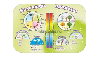 Стенд календарь природы БЕРЕЗКА 0,8*0,6 2 кармана А4 арт.ДС349 купить в  Челябинске по низкой цене с доставкой по России | Интернет-магазин  «Раскрась детство»