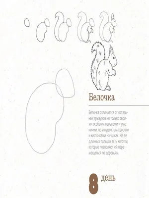 Пластическая анатомия для начинающих художников