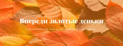 Бесплатные шаблоны обложек для Facebook | Canva