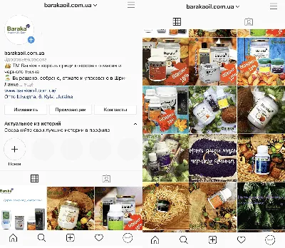 Как оформить профиль в Instagram правильно и красиво / Skillbox Media