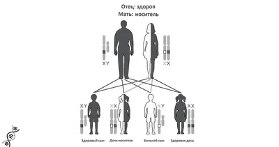 В МГНЦ изучают генетические основы патогенеза шизофрении