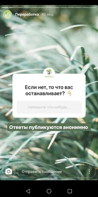 Мошенничество с платными опросами в Instagram | Блог Касперского