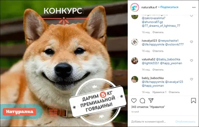 Приложение для розыгрыша в Инстаграм: сервисы для проведения конкурсов в  Instagram, рандомайзер для выбора победителя