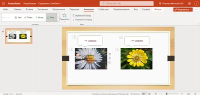 Модульная сетка в презентации PowerPoint — Блог — Слайды и инфографика для  презентаций