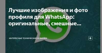 В WhatsApp можно будет создать подменный профиль — Ferra.ru