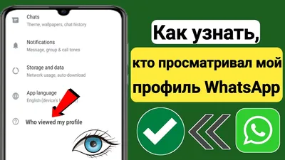 Как установить или поменять аватарку в WhatsApp? Показываю в картинках |  Mr.Android — эксперт по гаджетам | Дзен