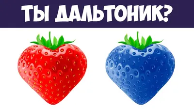 Дальтонизм (цветовая слепота) – что это за болезнь. Классификация, симптомы  и лечение, профилактика – Zoon.ru