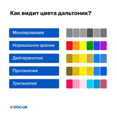 Дальтонизм: признаки и диагностика