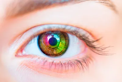 Дальтонизм - причины, симптомы, тест на дальтонизм и лечение цветовой  слепоты в клинике Новый Взгляд