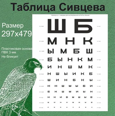 Как влияет зрение на успеваемость в школе?