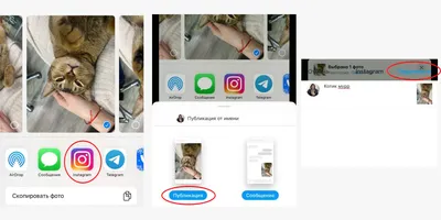 Как добавить фото в Инстаграм с телефона